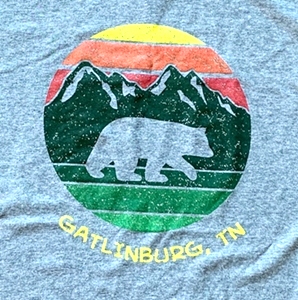 Gatlinburg, TN Black Bear T-Shirt