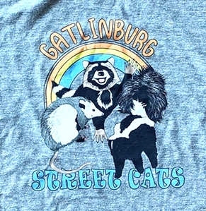 Gatlinburg Street Cats T-Shirt