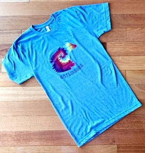 Gatlinburg Tie Dye Bear T-Shirt