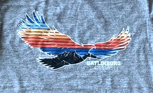 Eagle Gatlinburg Tennessee T-Shirt